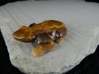 Frog Zuni Fetish Carving - Nelson Yatsattie - High Lonesome Trading
