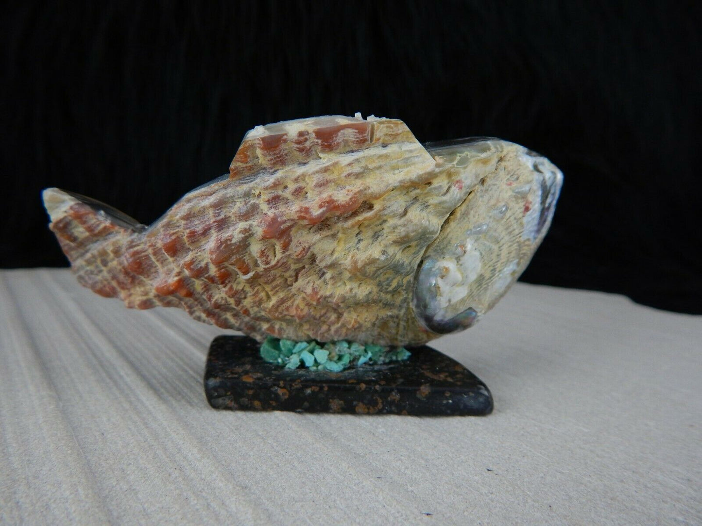 Fish Zuni Fetish Carving - Bernard Laiwakete - High Lonesome Trading