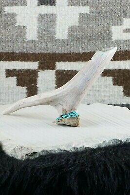 Bird Zuni Fetish Carving - Harvey Harker - High Lonesome Trading