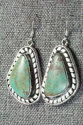Turquoise and Sterling Silver Earrings - Sharon McCarthy