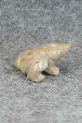 Frog Zuni Fetish Carving - Todd Lowsayatee