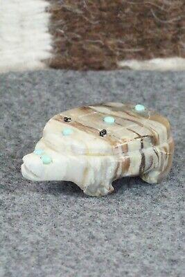 Turtle Zuni Fetish Carving - Taylor Gia - High Lonesome Trading
