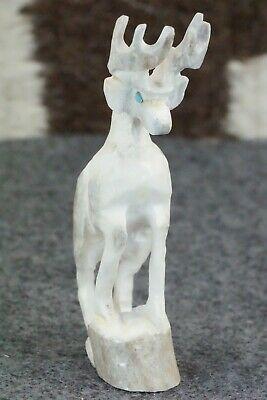 Deer Zuni Fetish Carving - Jerrold Lahaleon - High Lonesome Trading