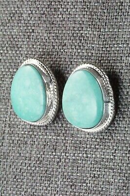 Turquoise & Sterling Silver Earrings - Verley Betone