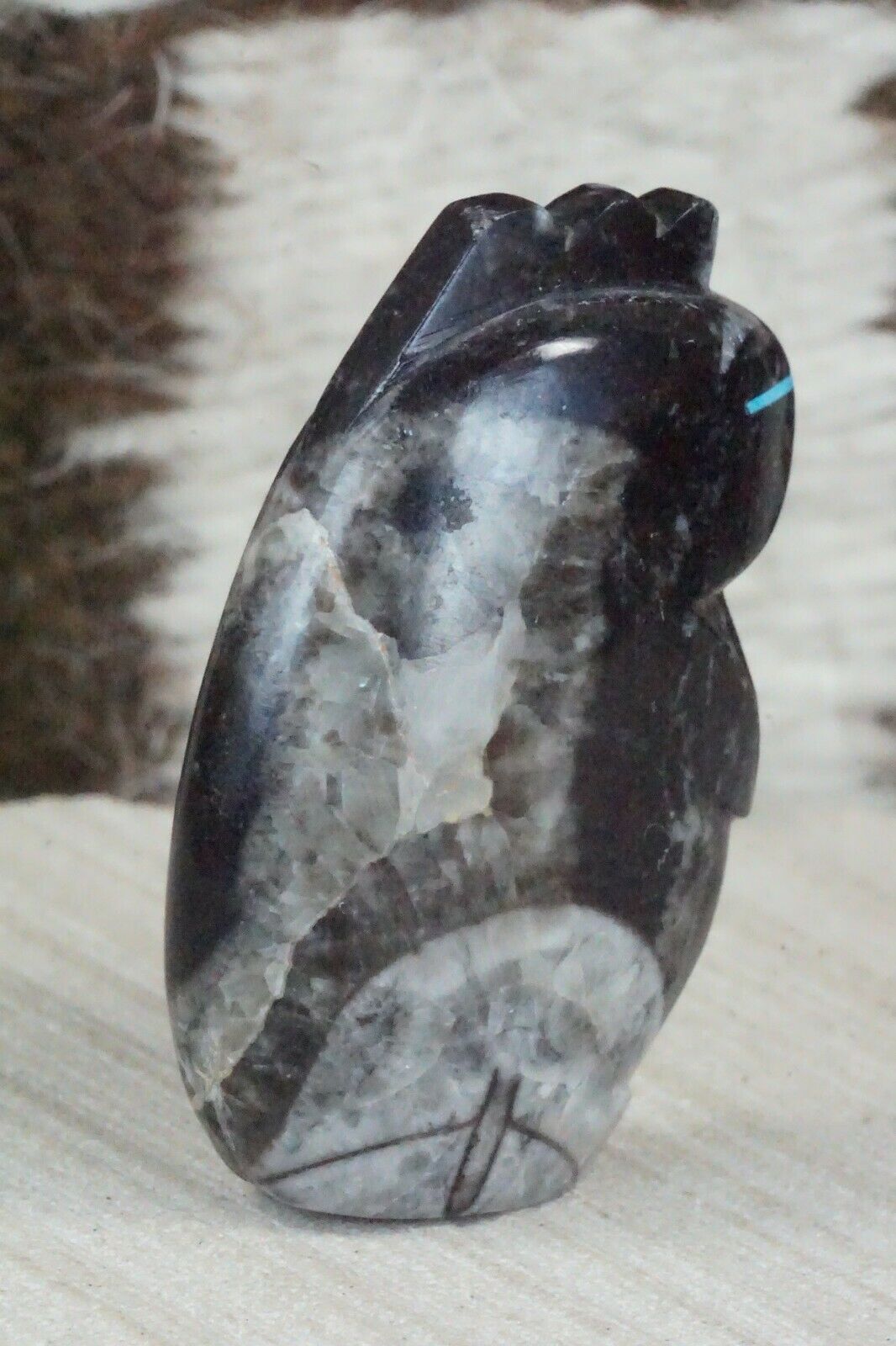 Lizard Zuni Fetish Carving - Abby Quam - High Lonesome Trading