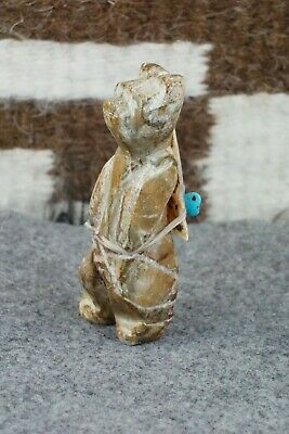 Bear Zuni Fetish Carving - Ariane Quam