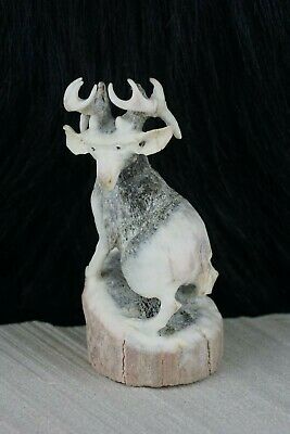 Deer Zuni Fetish Carving - Lewis Malie Jr - High Lonesome Trading