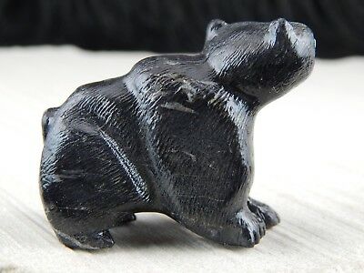 Bear Zuni Fetish  Carving - Dane Malani - High Lonesome Trading