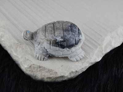 Turtle Zuni Fetish Carving - Darrell Westika - High Lonesome Trading