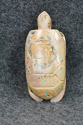 Turtle Zuni Fetish Carving - Alex Tsethlikai
