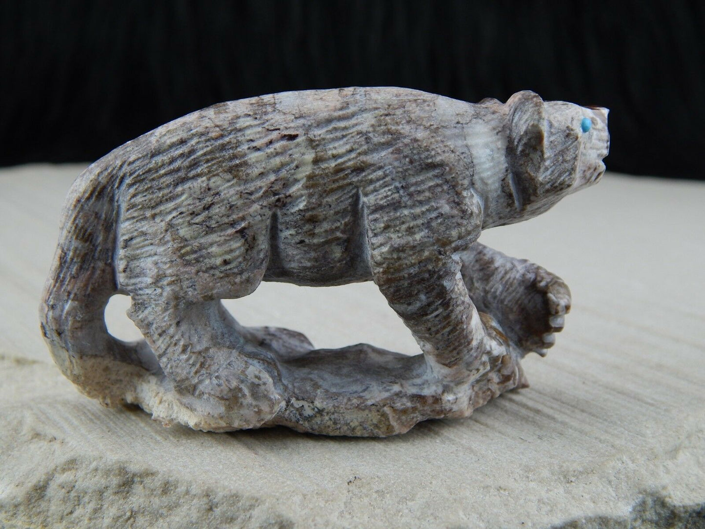Bear Zuni Fetish Carving - Derrick Kaamasee - High Lonesome Trading
