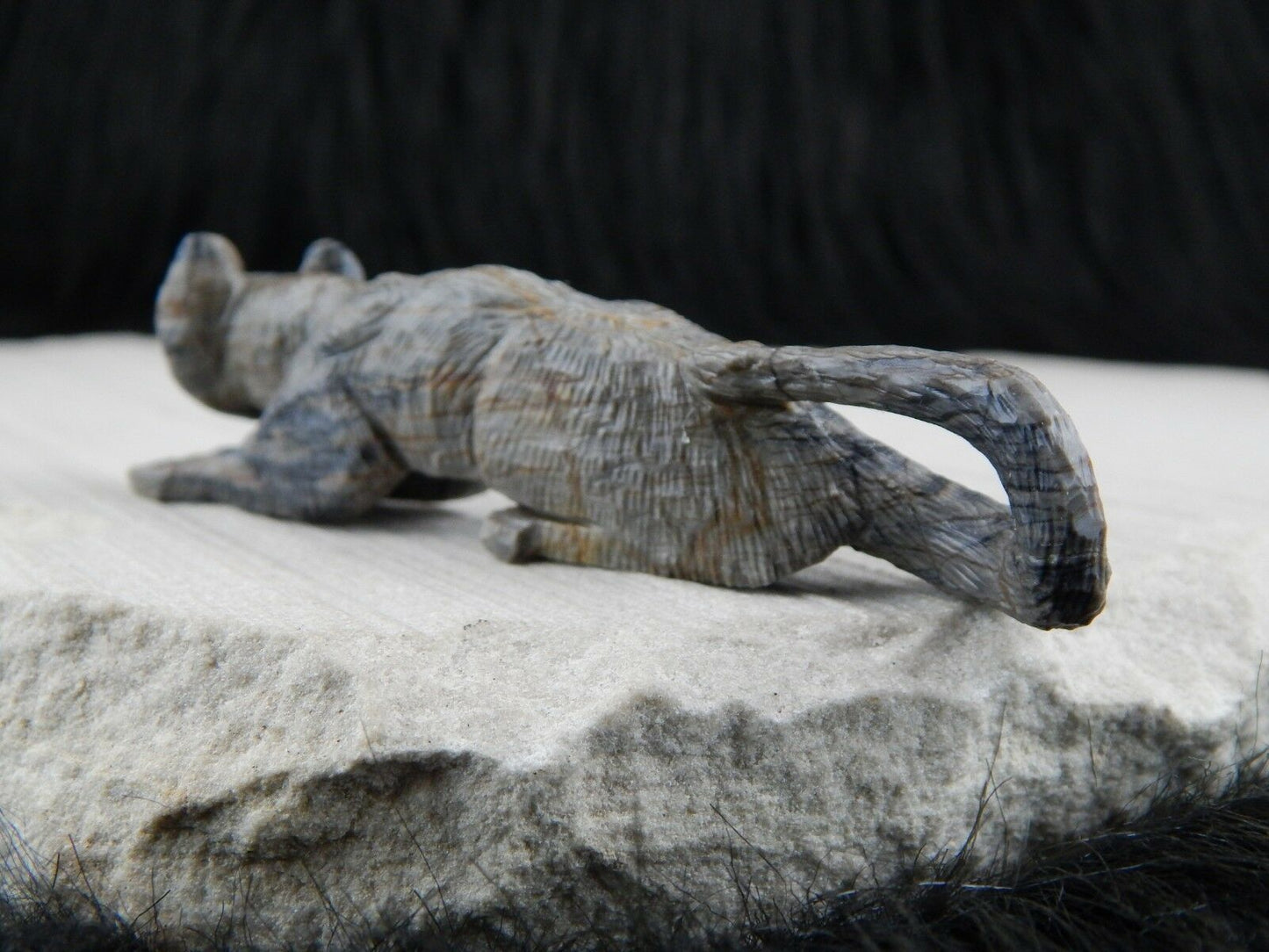 Mountain Lion Zuni Fetish Carving - Anthony Mecale - High Lonesome Trading