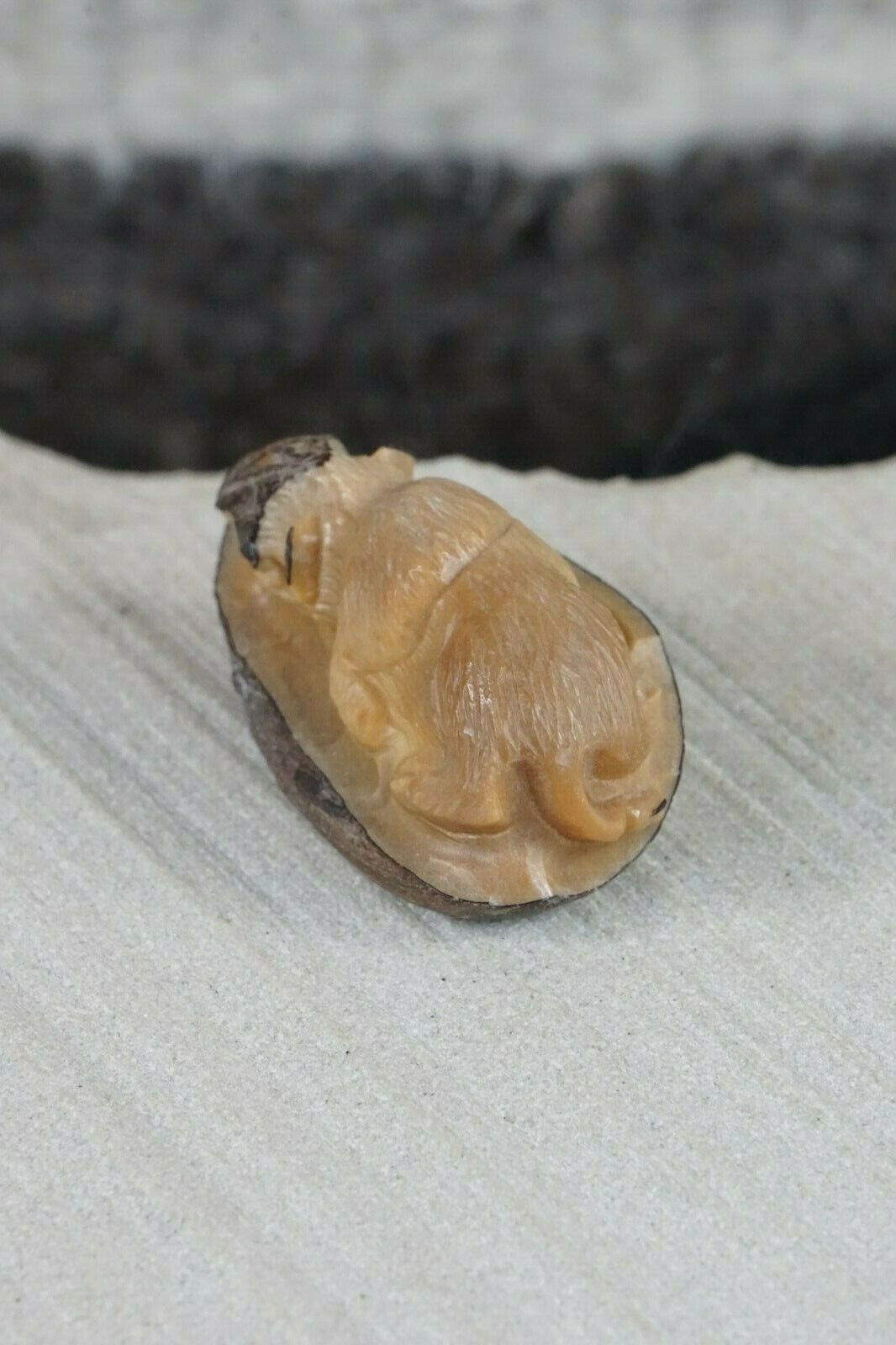 Calf Zuni Fetish Carving - Chris Peina - High Lonesome Trading