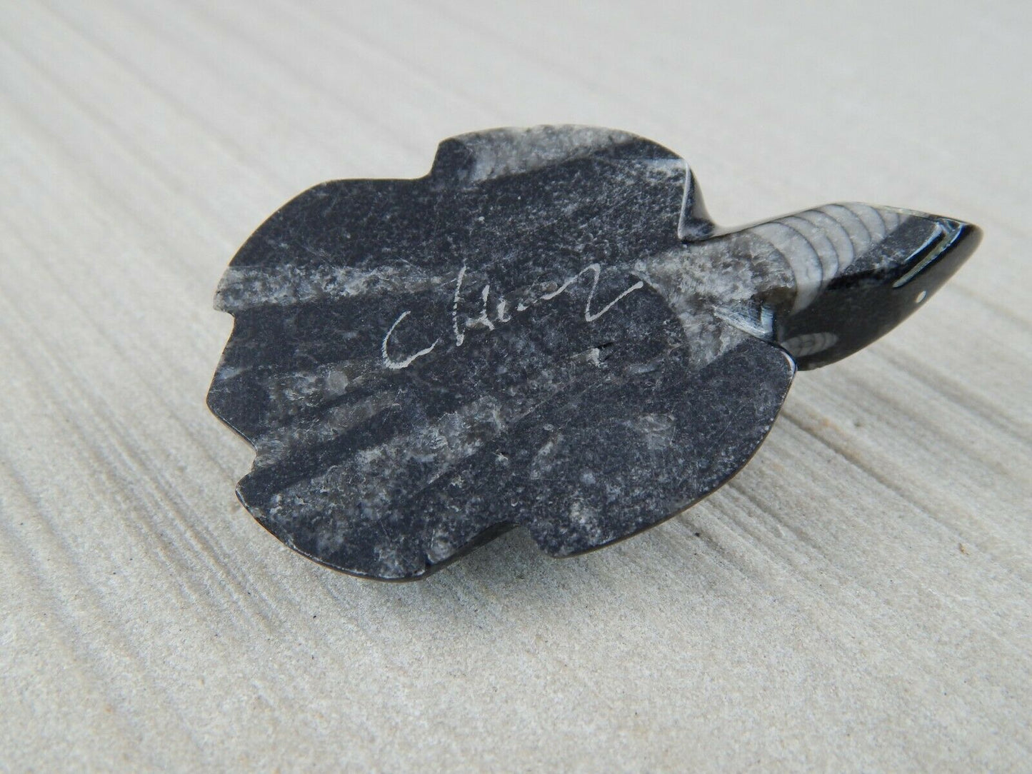 Turtle Zuni Fetish Carving - Kenny Cheama - High Lonesome Trading