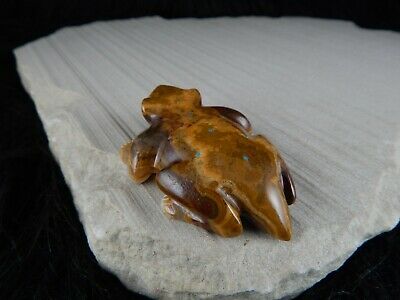 Frog Zuni Fetish Carving - Nelson Yatsattie - High Lonesome Trading