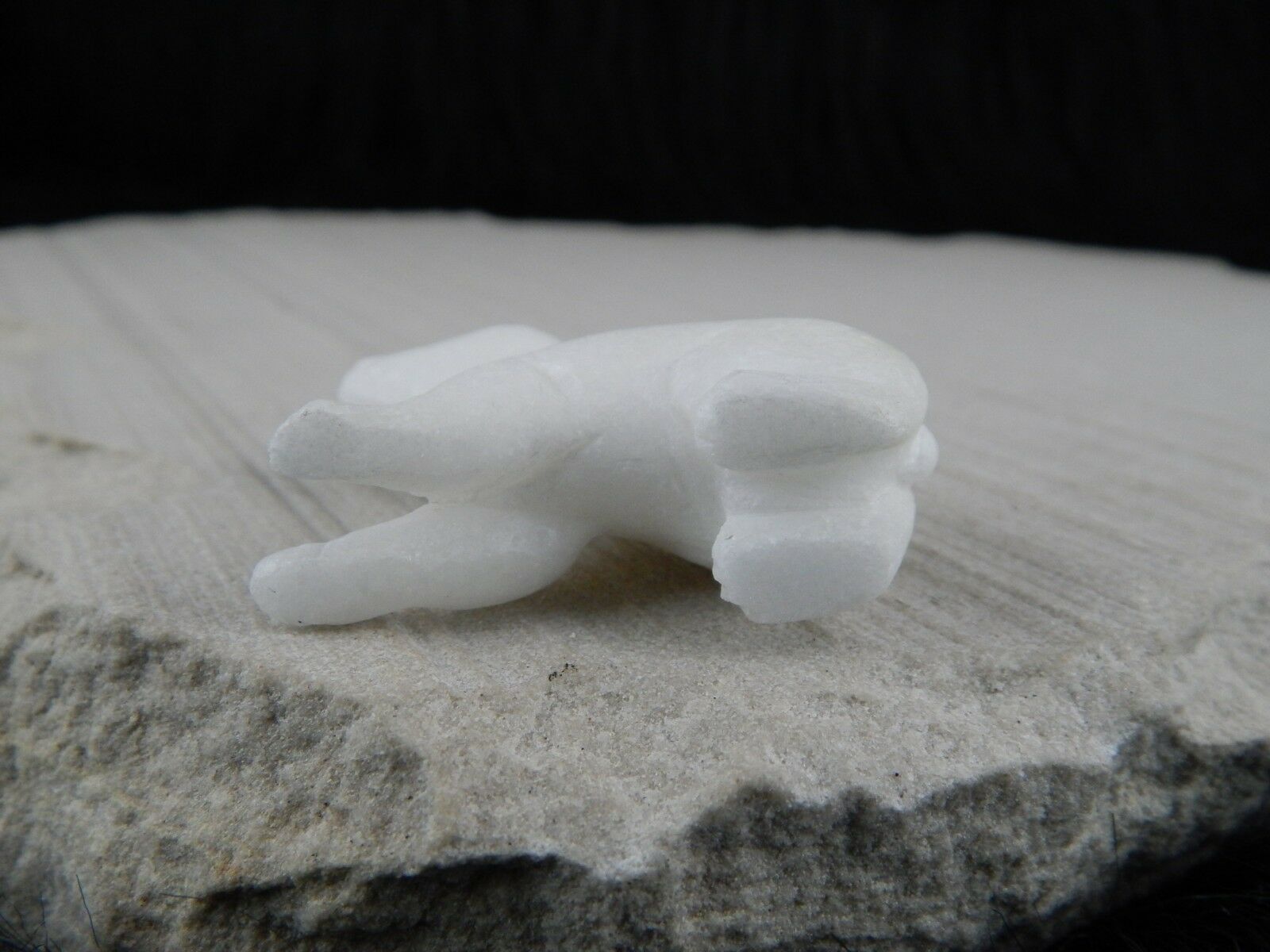 Bear Zuni Fetish Carving - Herbert Him - High Lonesome Trading