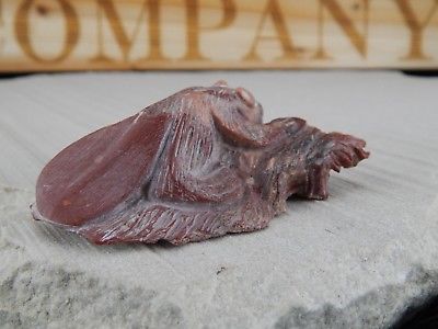 Badger Zuni Fetish Carving - Evan Cachini - High Lonesome Trading