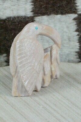 Toucan Zuni Fetish Carving - Derrick Kaamasee