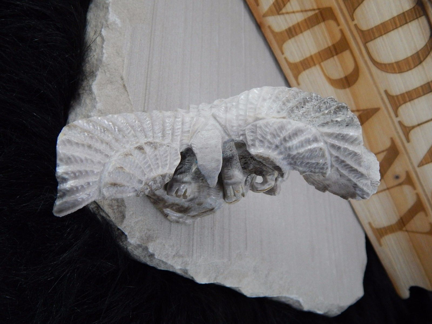Eagle Zuni Fetish Carving - Jerrold Lahaleon - High Lonesome Trading