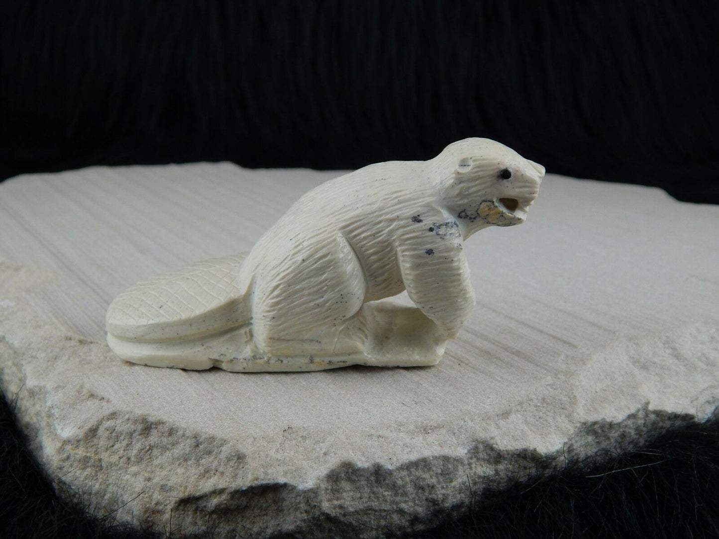 Beaver Zuni Fetish Carving- Derrick Kaamasee - High Lonesome Trading