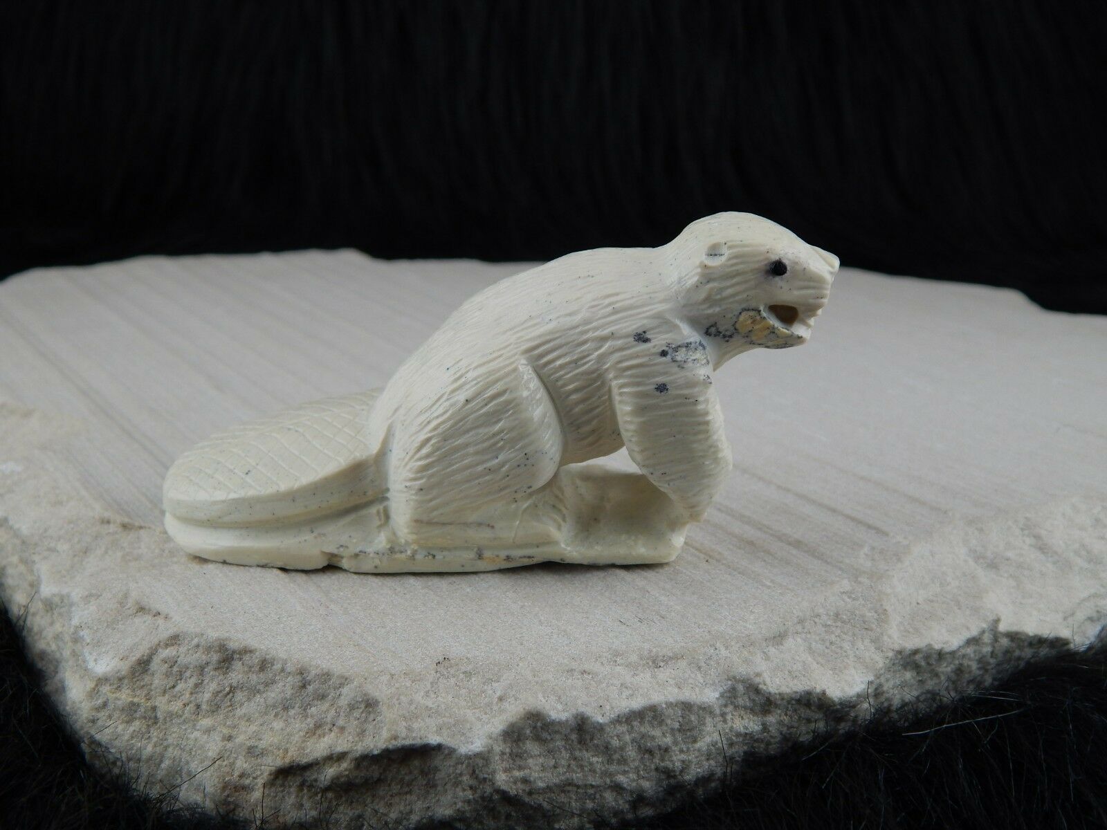 Beaver Zuni Fetish Carving- Derrick Kaamasee - High Lonesome Trading