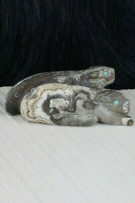 Mountain Lion Zuni Fetish Carving - Lance Cheama - High Lonesome Trading