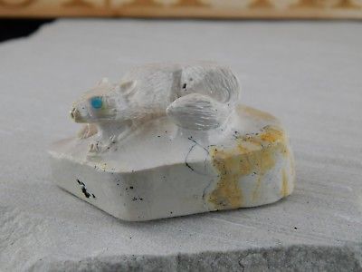 Coyote Zuni Fetish Carving - Sullivan Shebola - High Lonesome Trading