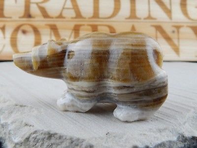 Bear Zuni Fetish Carving - Nelson Yatsattie - High Lonesome Trading