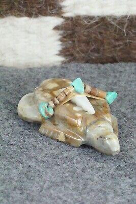Turtle Zuni Fetish Carving - Daisy Natewa - High Lonesome Trading