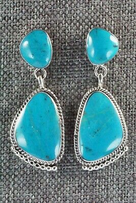 Turquoise and Sterling Silver Earrings - Sadie Jim