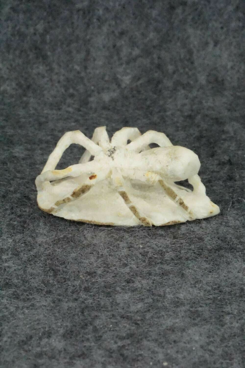 Spider Zuni Fetish Carving - Lewis Malie Jr.