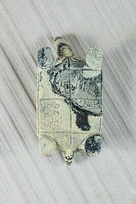 Turtle Zuni Fetish Carving - Herbert Him - High Lonesome Trading
