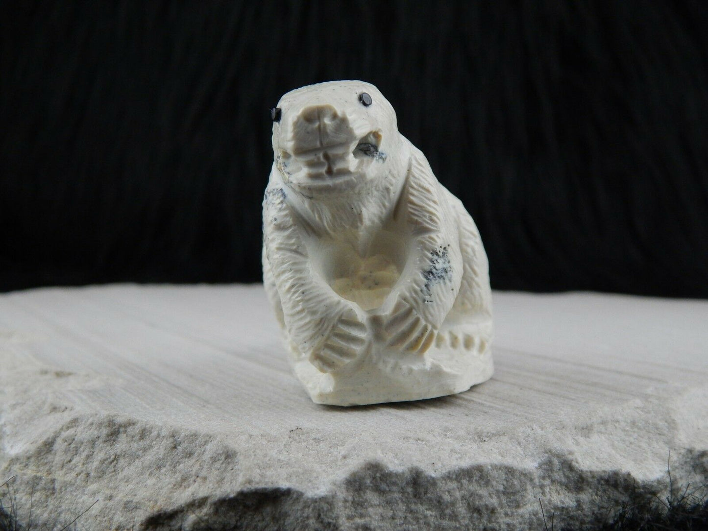 Beaver Zuni Fetish Carving- Derrick Kaamasee - High Lonesome Trading