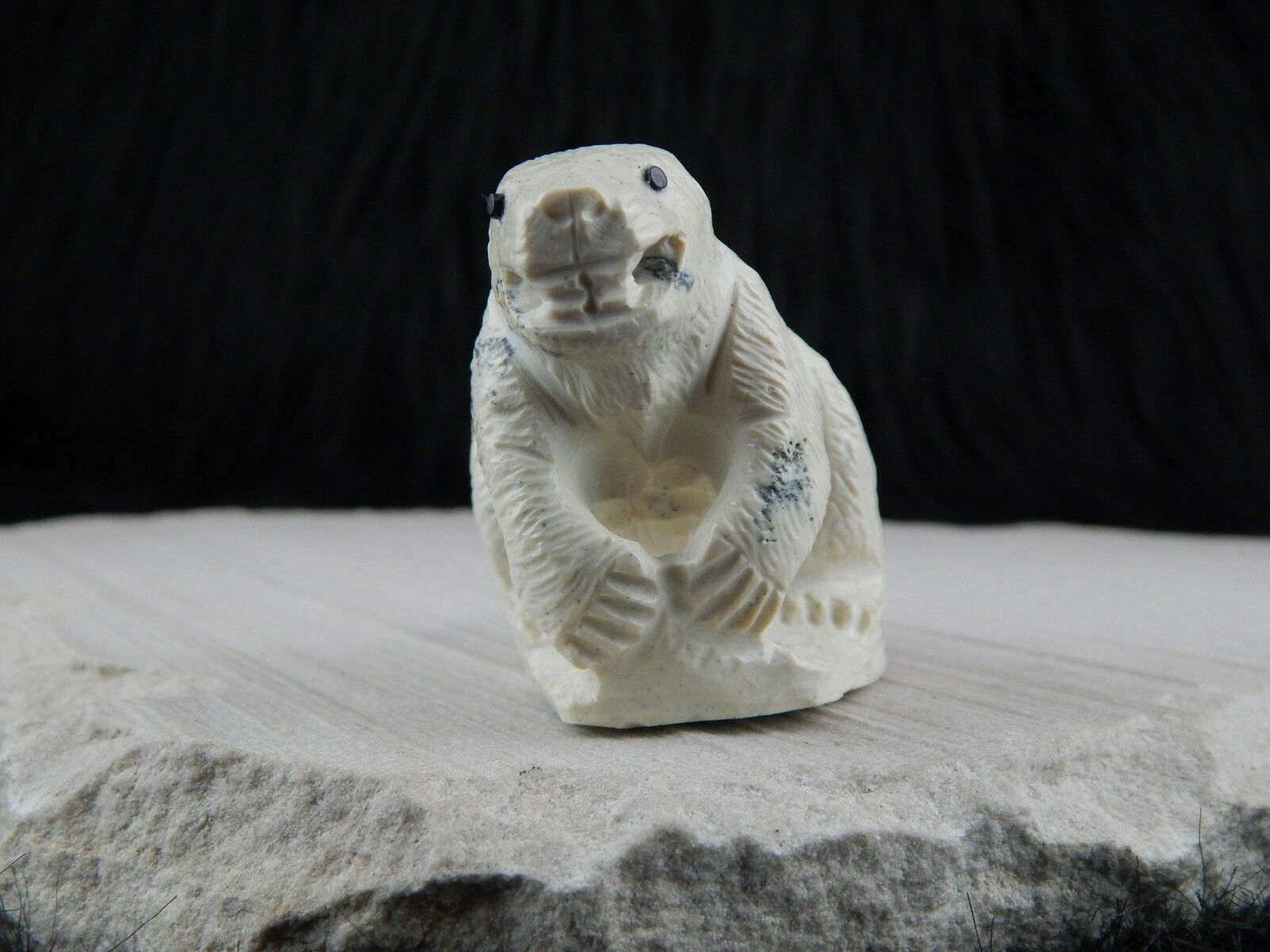 Beaver Zuni Fetish Carving- Derrick Kaamasee - High Lonesome Trading
