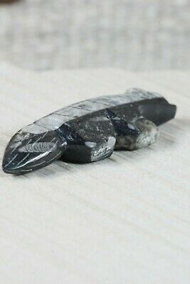 Wolf Zuni Fetish Carving - Kenric Laiwakete - High Lonesome Trading