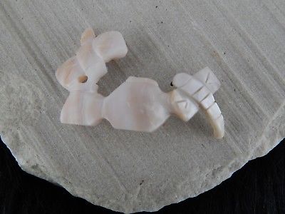 Fire Fly Zuni Fetish Carving - Cody Chavez - High Lonesome Trading