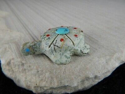 Turtle Zuni Fetish Carving - Kevin Quam - Zuni Turtle Carving - High Lonesome Trading