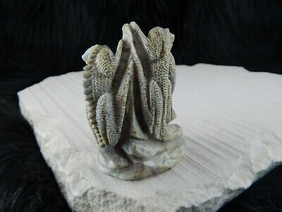 Lizard Zuni Fetish Carving - Calvin Weeka - High Lonesome Trading