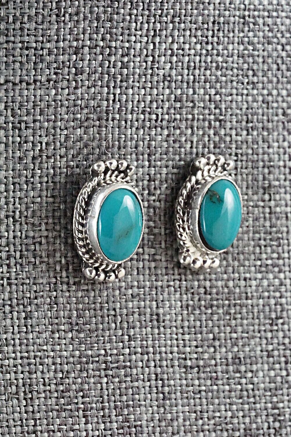 Turquoise & Sterling Silver Earrings - Jan Mariano