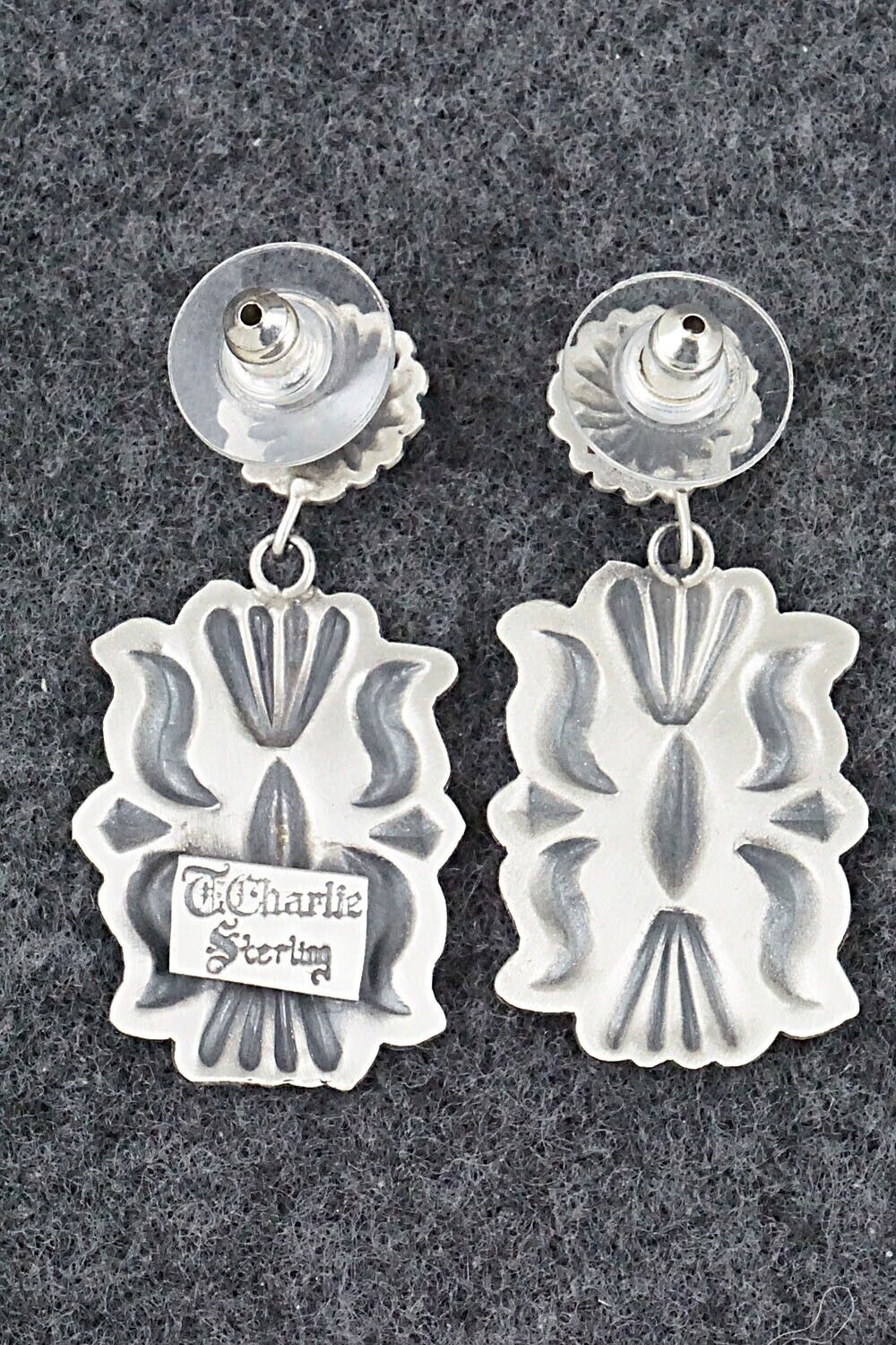 Sterling Silver Earrings - Terry Charlie