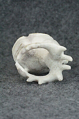Elk Zuni Fetish Carving - Maxx Laate