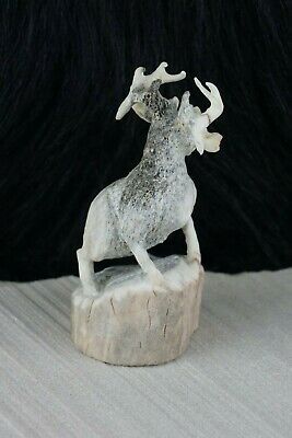 Deer Zuni Fetish Carving - Lewis Malie Jr - High Lonesome Trading