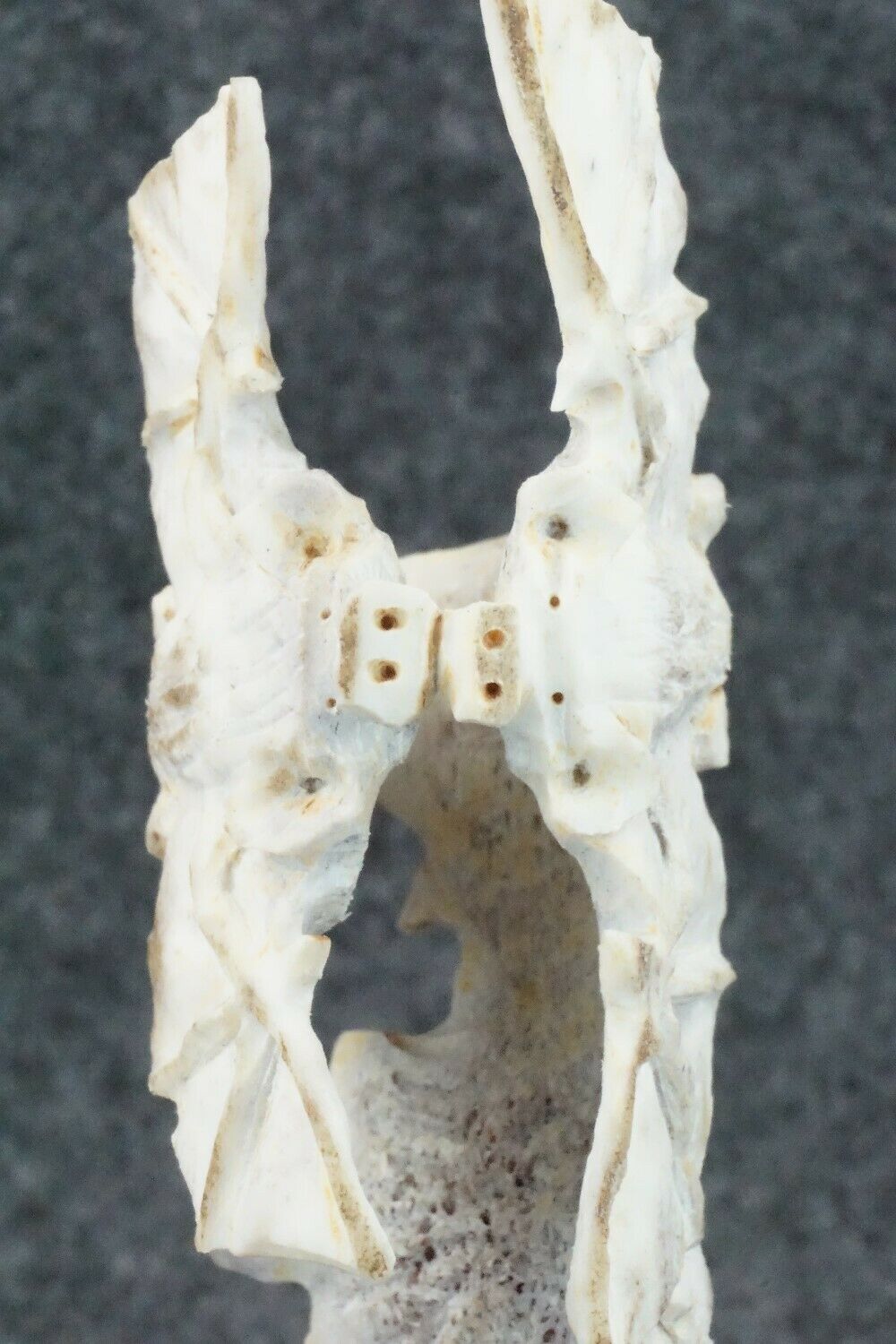 Bat Zuni Fetish Carving - Lewis Malie Jr.