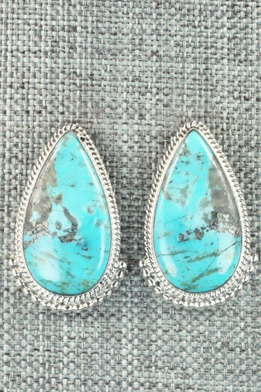 Turquoise & Sterling Silver Earrings - Mark Barney