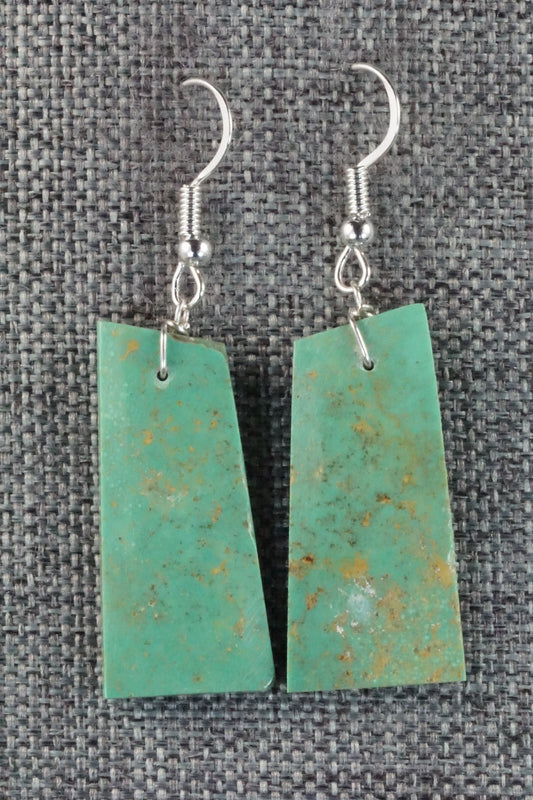 Turquoise & Sterling Silver Earrings - Tammy Nolcot