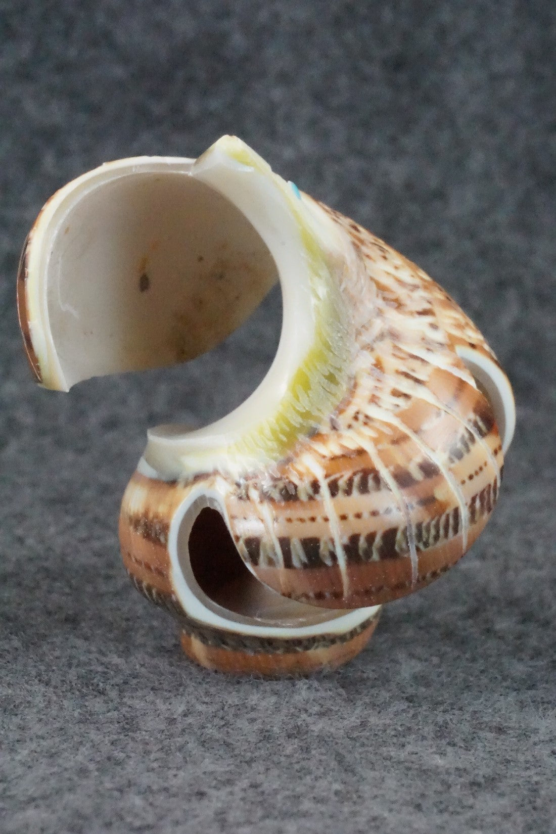 Eagle Zuni Fetish Carving - Delvin Leekya