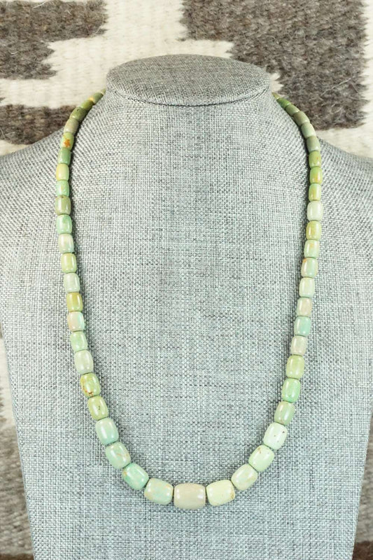 Turquoise & Sterling Silver Necklace - Doreen Jake