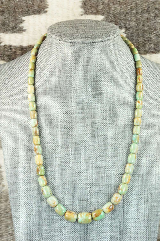 Turquoise & Sterling Silver Necklace - Doreen Jake
