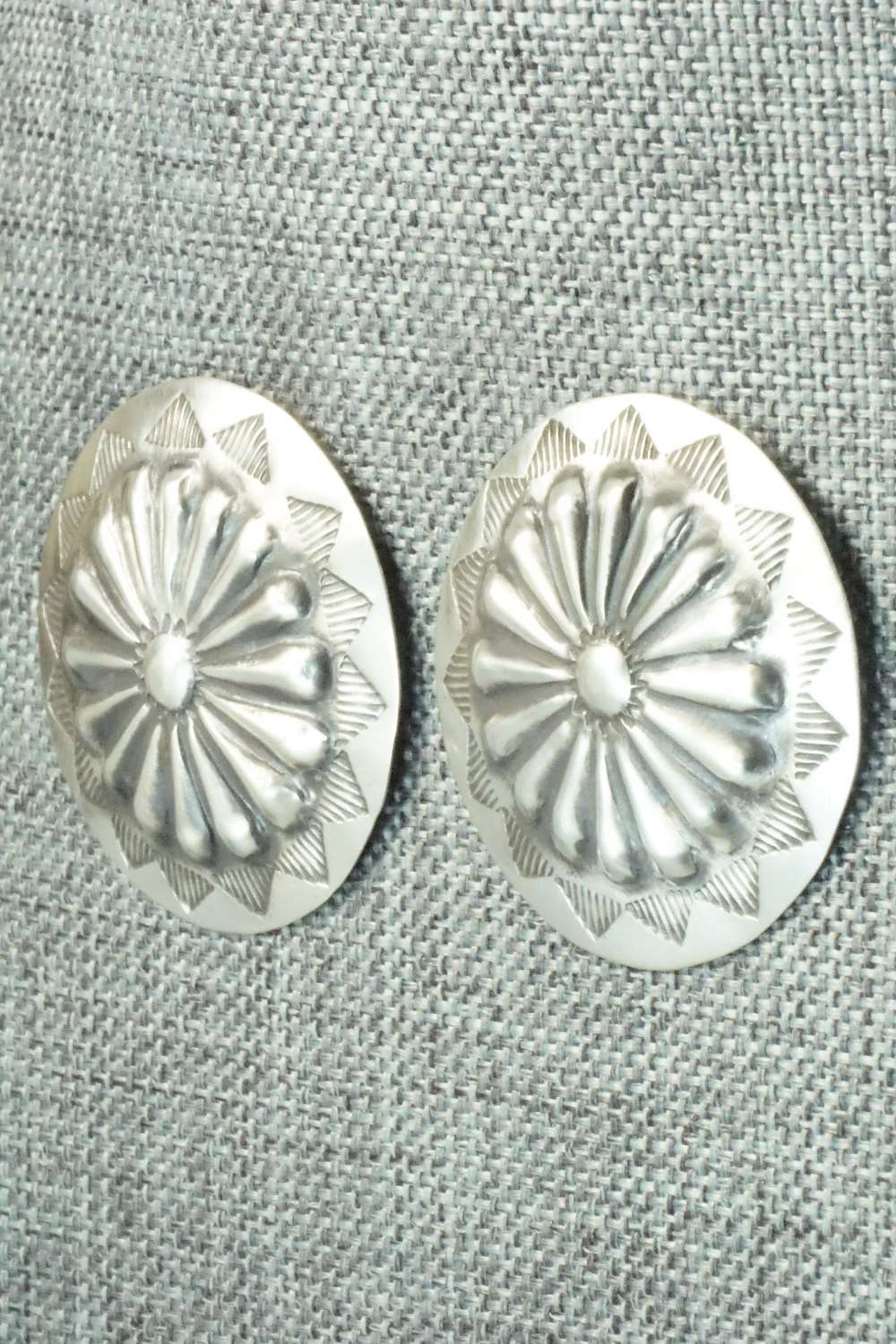 Sterling Silver Earrings - Arlene Soce