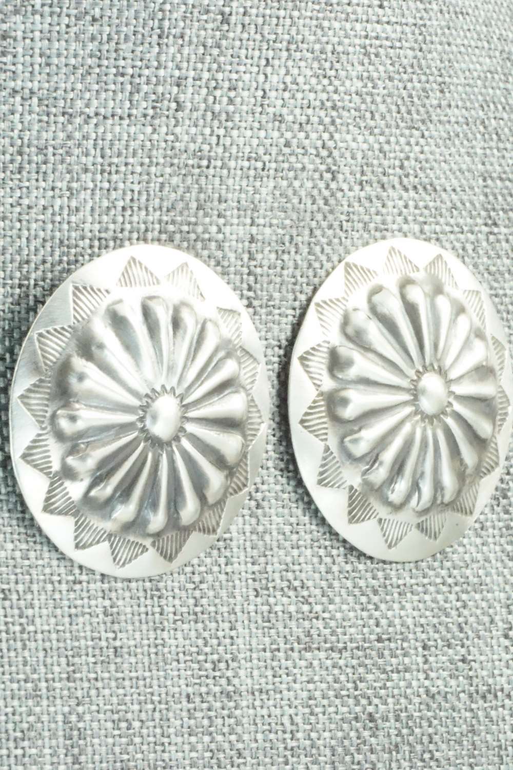 Sterling Silver Earrings - Arlene Soce